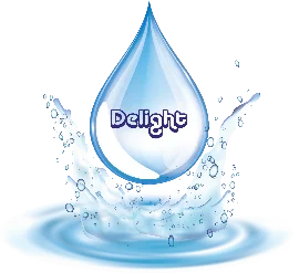 Delight Water Solutions Logo
